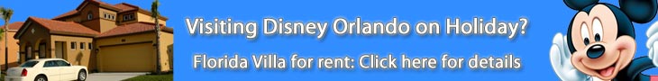 Luxury 4 bedroom villa for rent in the Disney Orlando Florida area.