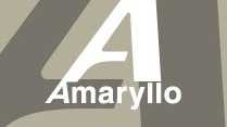 Amaryllo