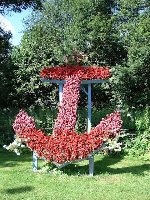 Villages had some floral displays (just for us??)